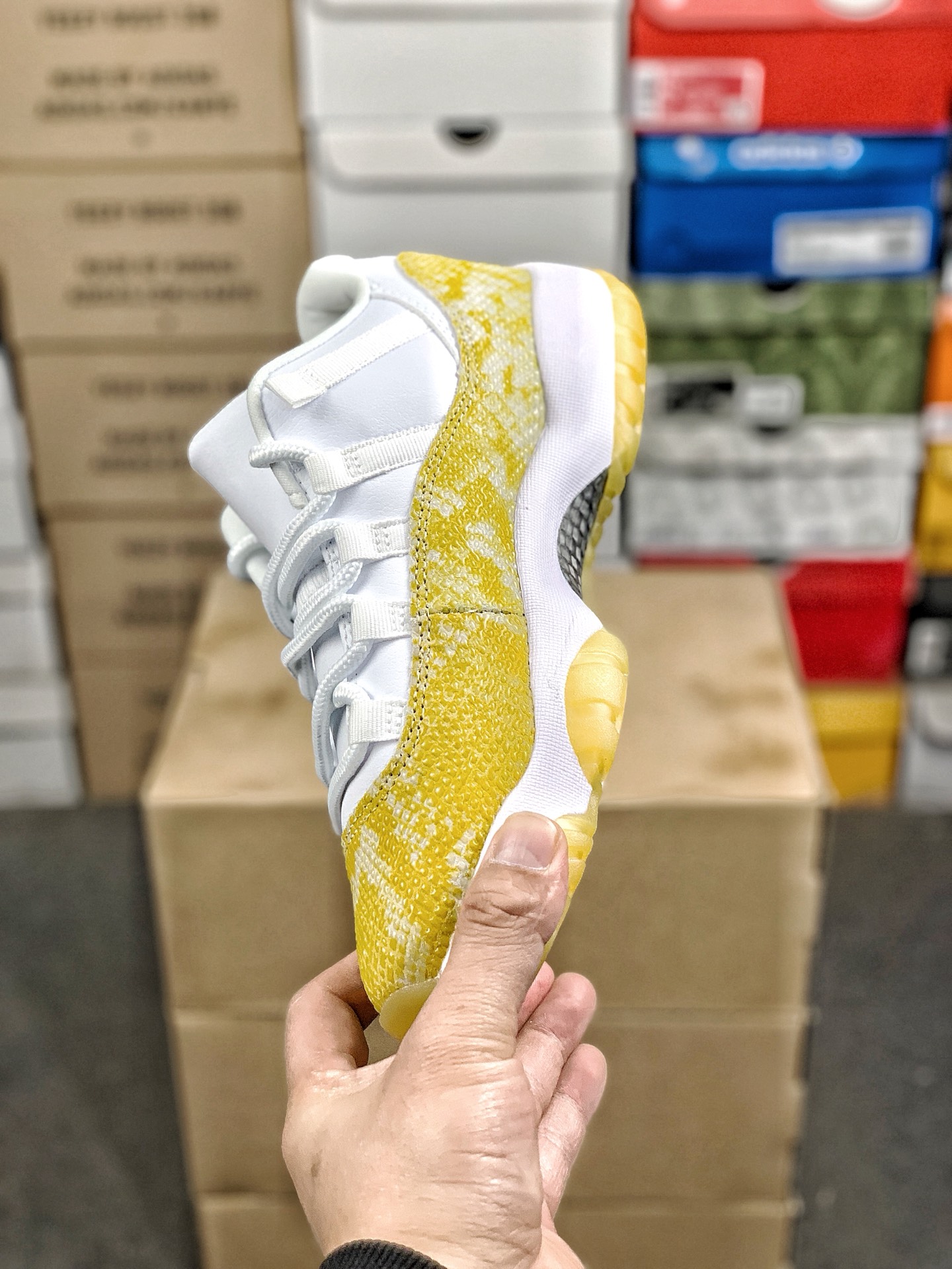 Nike Jordan shoe